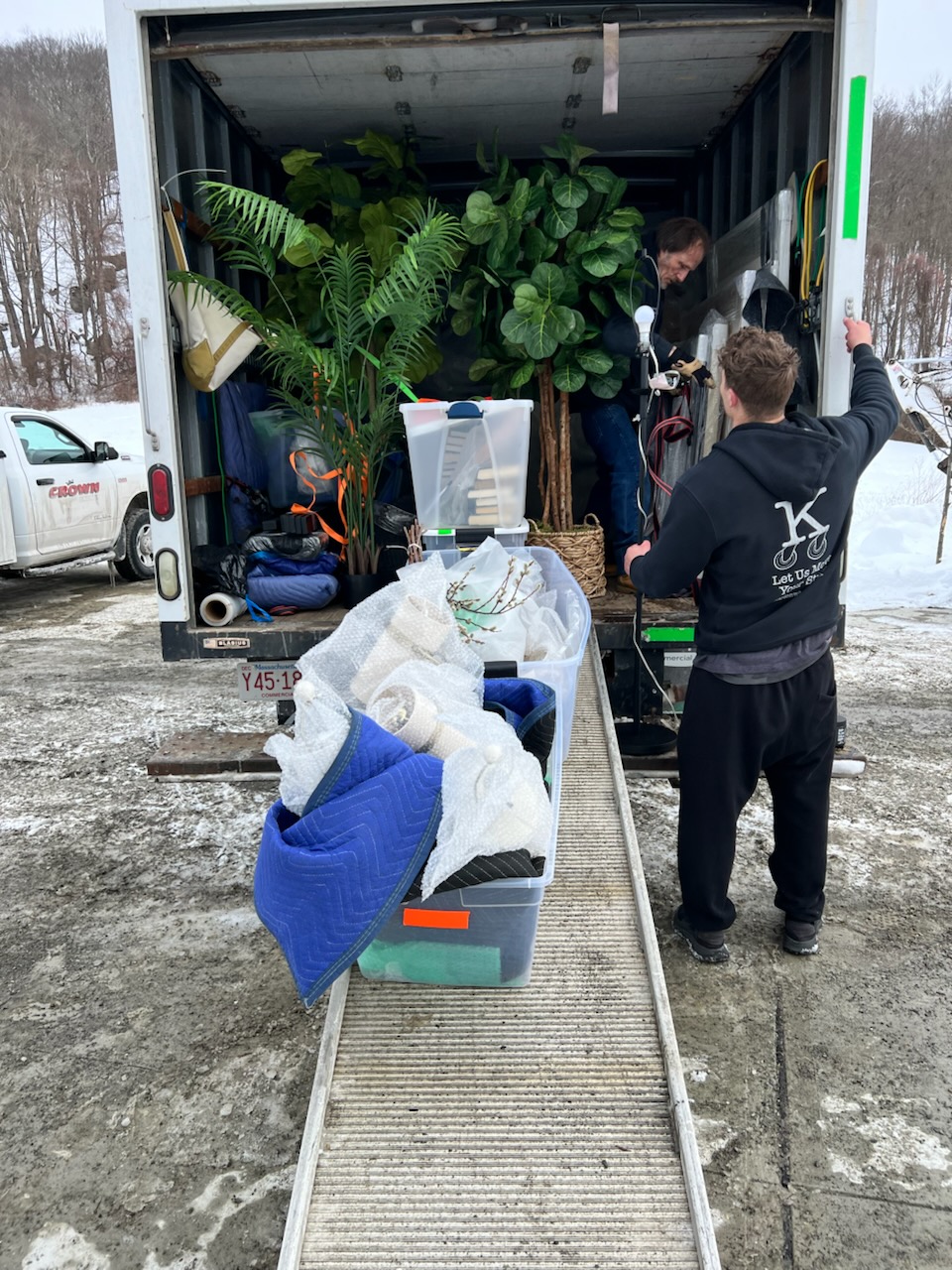 House Plants Need Love Too